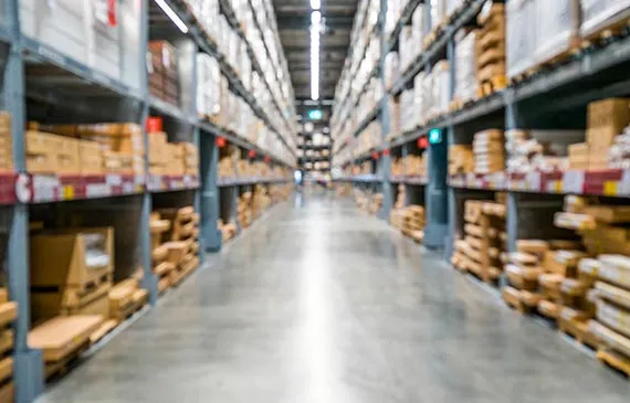 Distribuidores y mayoristas